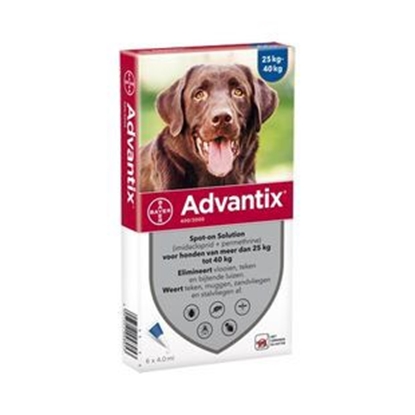 Picture of ADVANTIX DOGS 25-40KGS